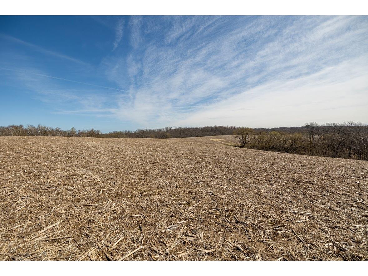 0 County Road S Blair WI 54616 1600146 image19