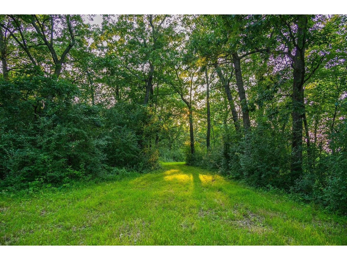 0 County Road S Blair WI 54616 1600146 image22
