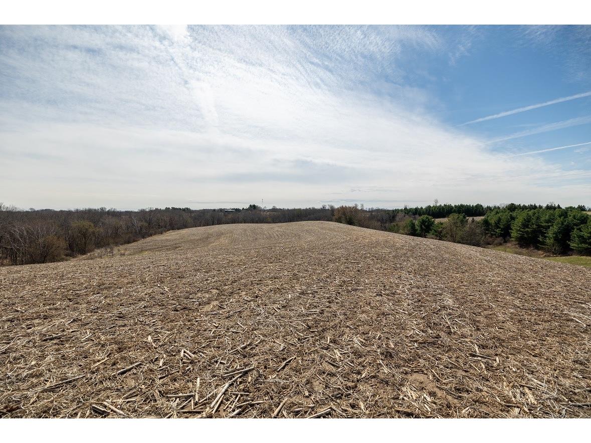 0 County Road S Blair WI 54616 1600146 image23