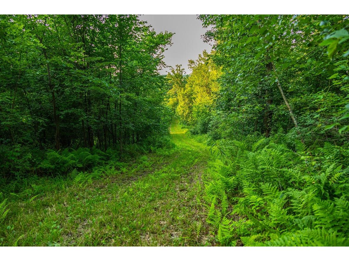 0 County Road S Blair WI 54616 1600146 image37