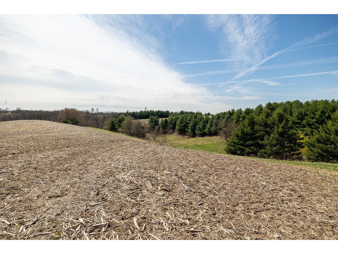 0 County Road S Blair WI 54616 1600146 image4