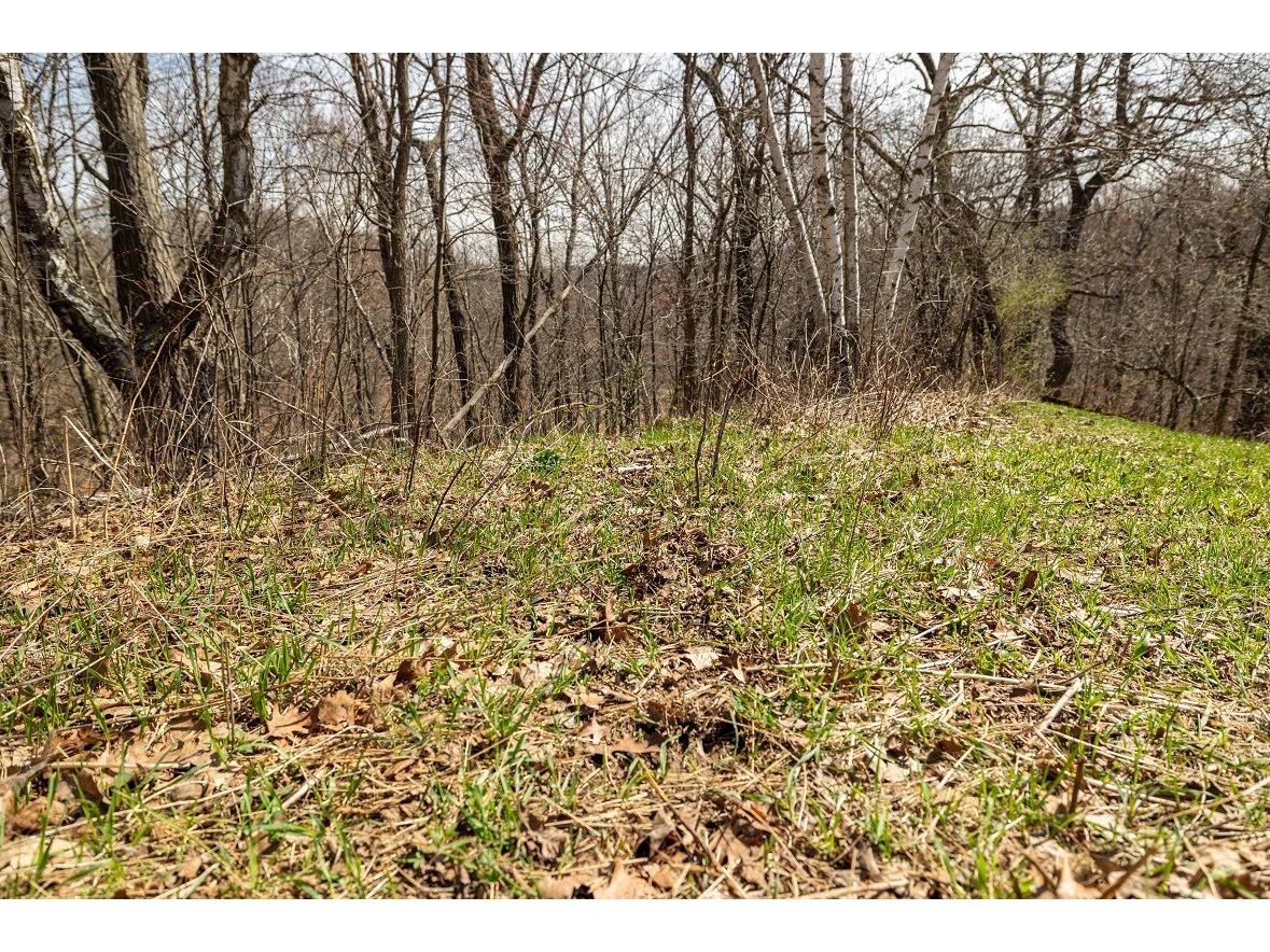 0 County Road S Blair WI 54616 1600146 image46