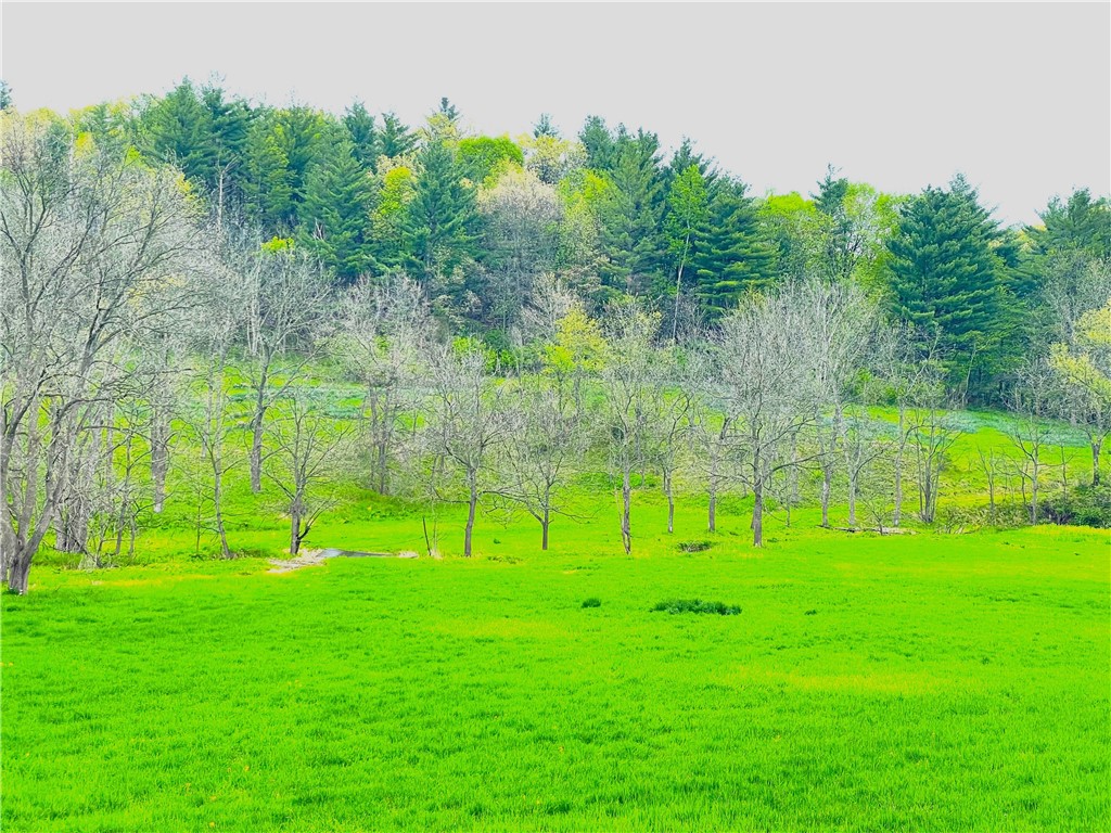 0 County Road T Arcadia WI 54612 1573091 image1