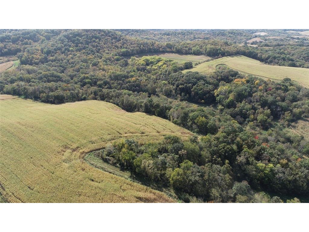 0 County Road T Arcadia WI 54612 - Turton Creekn 1586564 image1