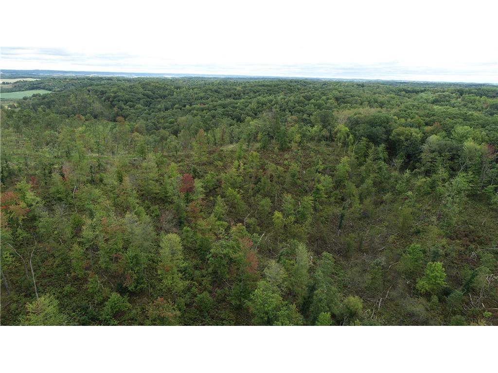 0 County Road W Pigeon Falls WI 54760 1558447 image1