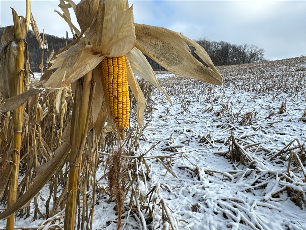 0 County Road Xx Independence WI 54747 1578788 image1