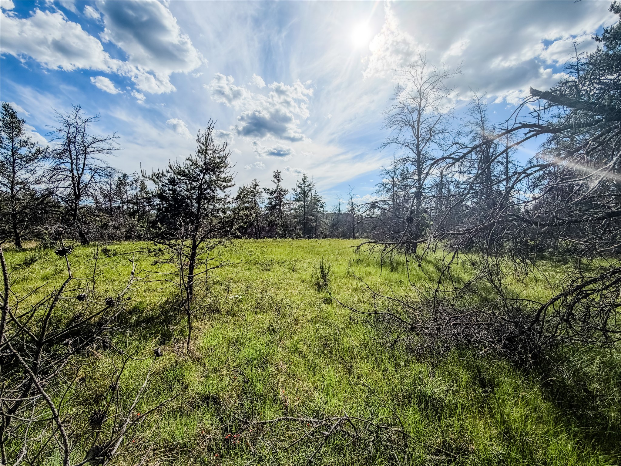 0 County Road Y Gordon WI 54838 1602290 image26