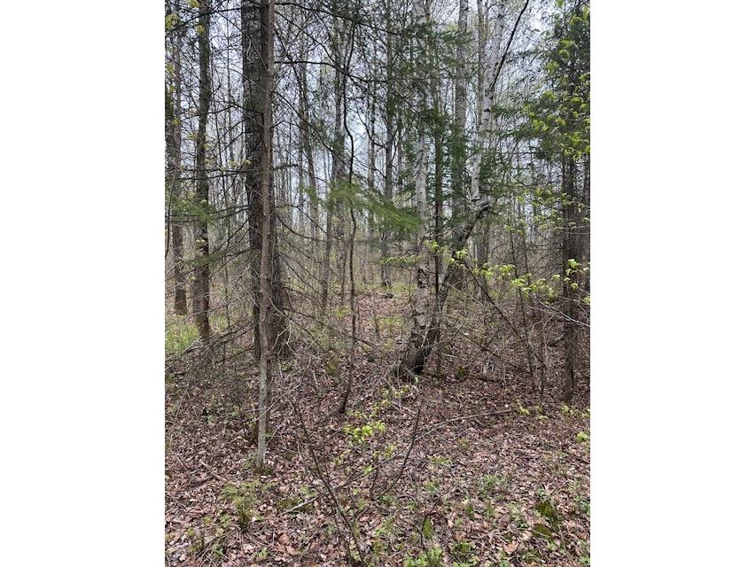 0 Cricket Lane Winter WI 54896 1581938 image1