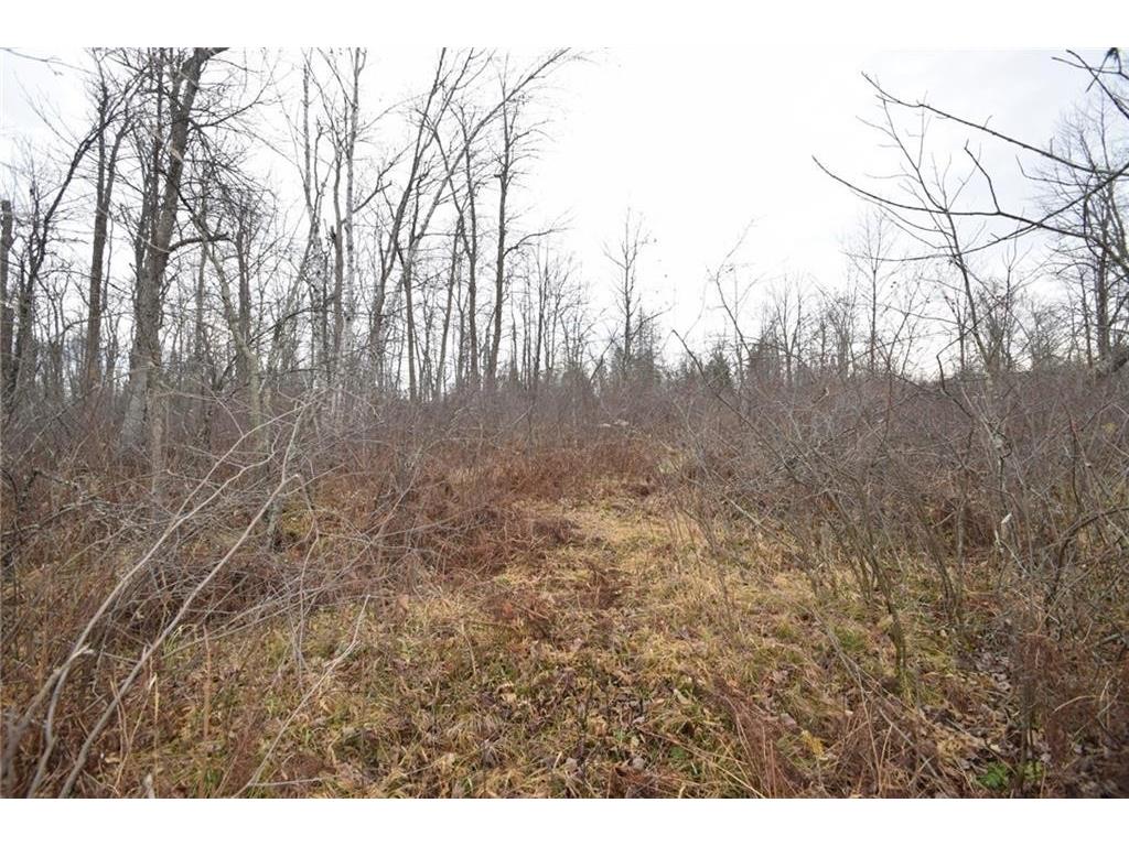 0 Cummings Road Danbury WI 54830 1597646 image1