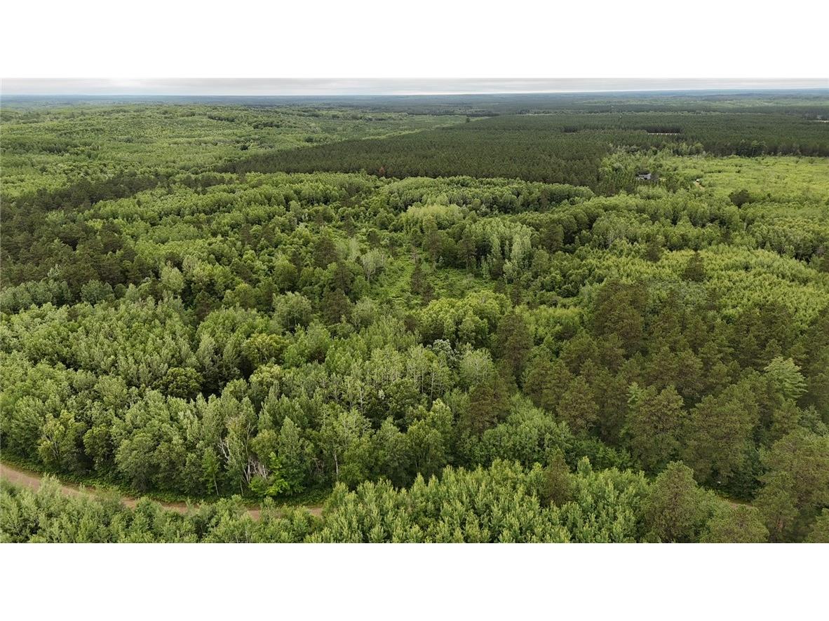 0 Dana Road Barnes WI 54873 1593550 image10