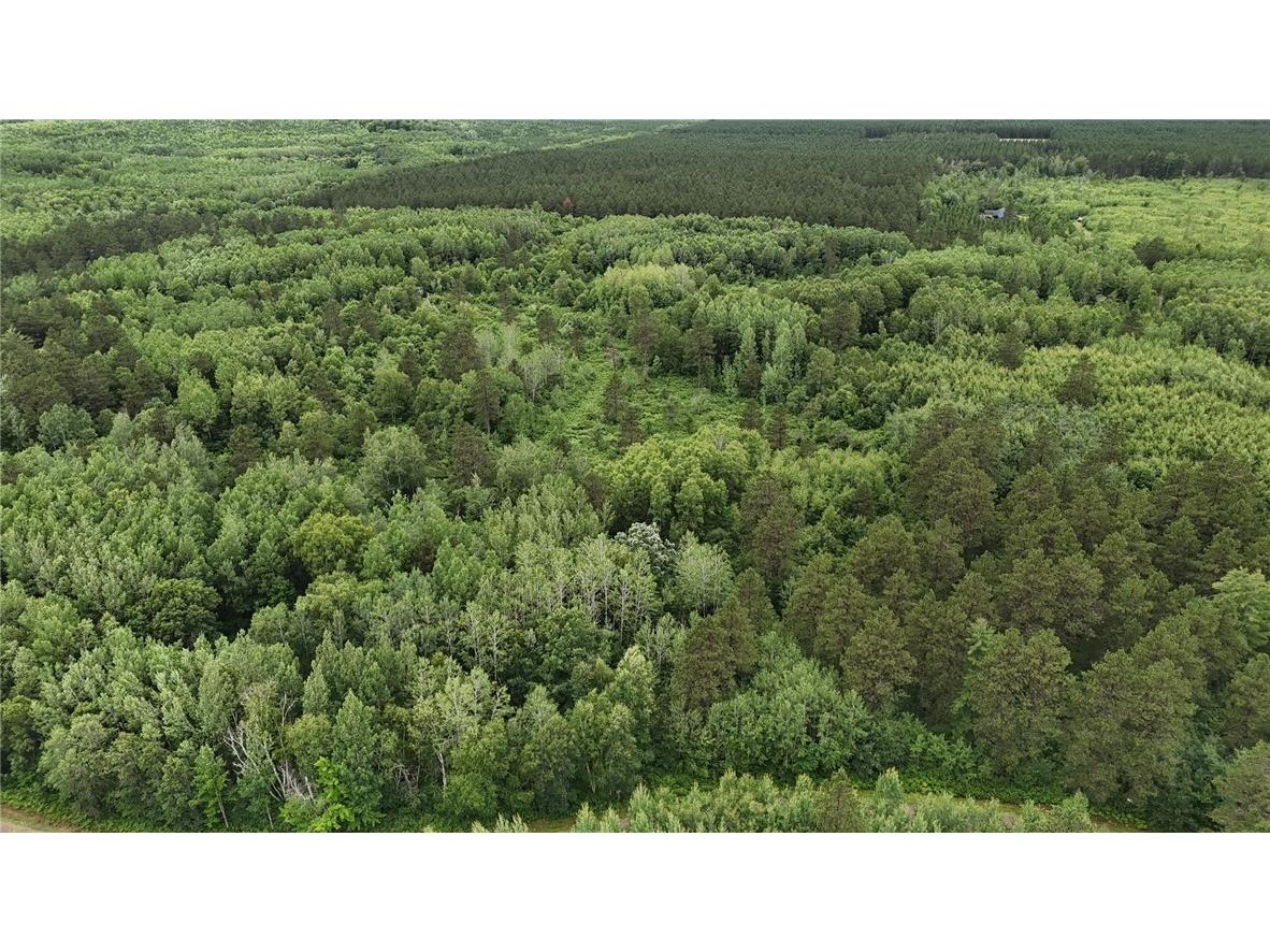 0 Dana Road Barnes WI 54873 1593550 image11