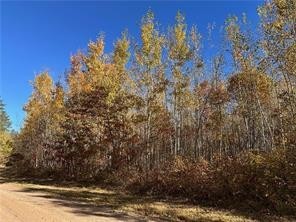 0 Dana Road Barnes WI 54873 1593550 image13