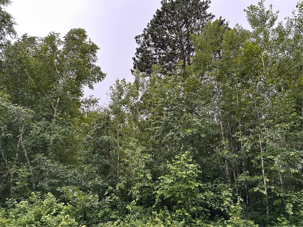 0 Dana Road Barnes WI 54873 1593550 image5