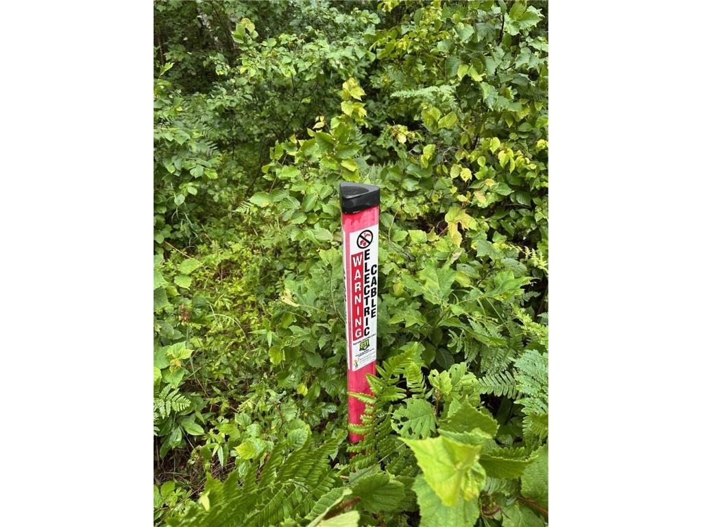 0 Dana Road Barnes WI 54873 1593550 image6