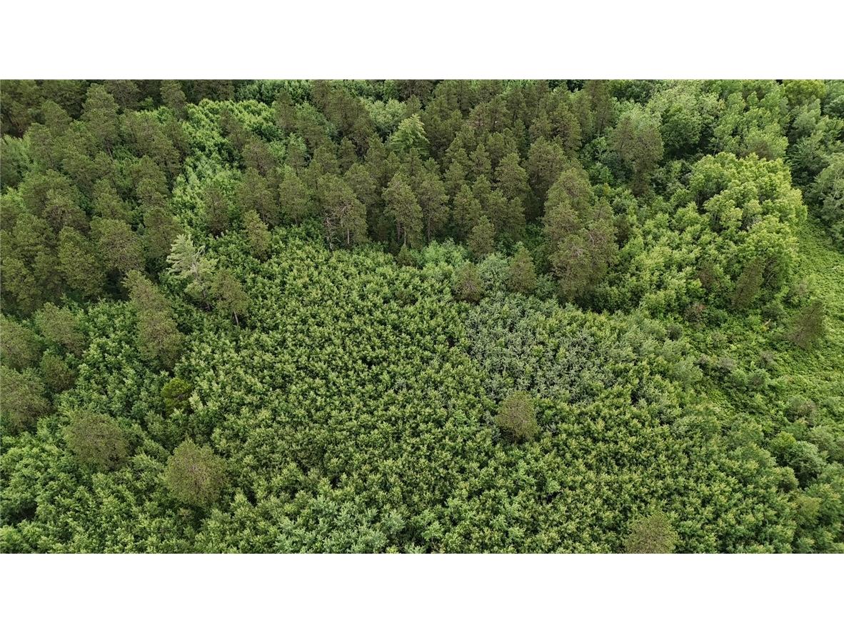 0 Dana Road Barnes WI 54873 1593550 image7