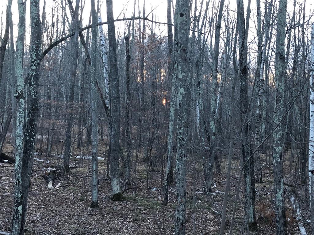 0 Deer Lake Road, Exeland, WI, 54835 MLS 1560249 Edina Realty