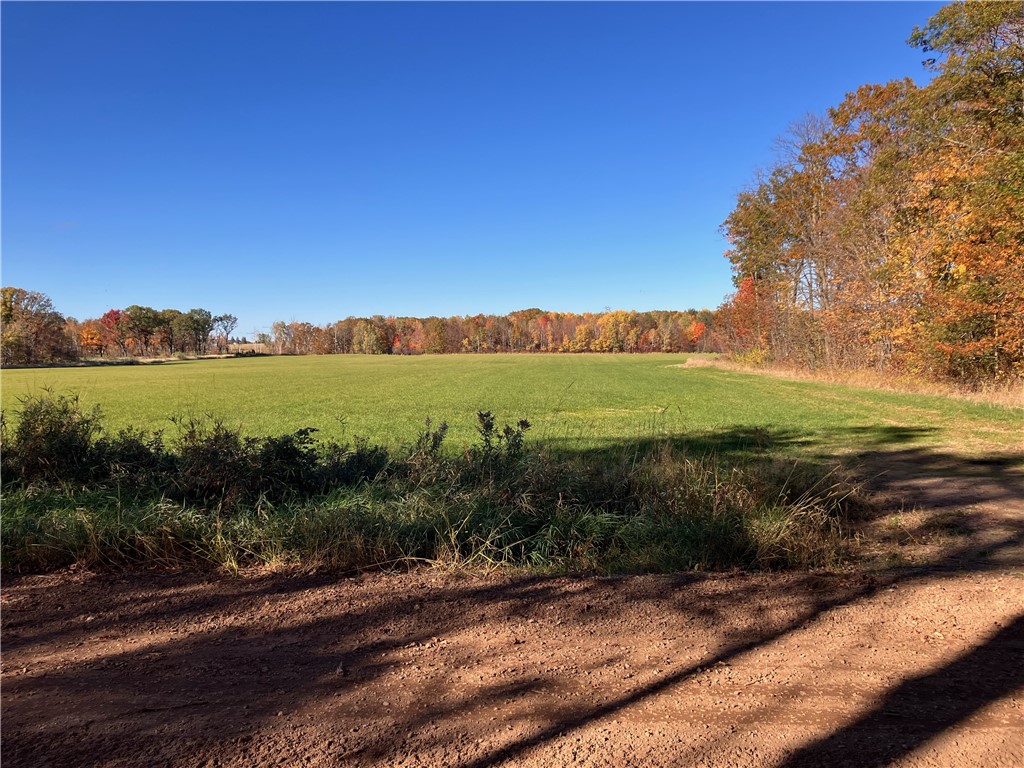 0 Delano Lane Burnett WI 54813 1589235 image1