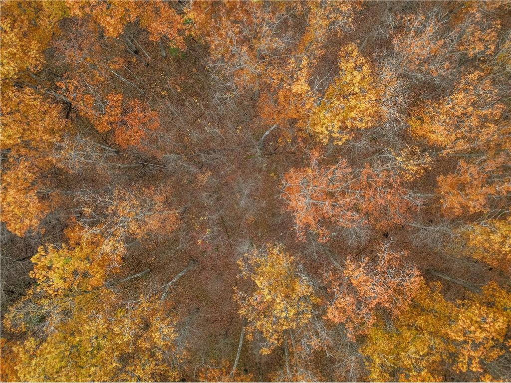 0 Dream Catcher Rd Hayward WI 54843 1596678 image20