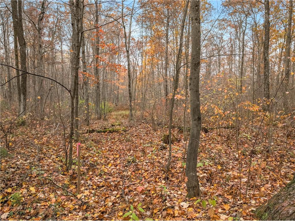 0 Dream Catcher Rd Hayward WI 54843 1596678 image3