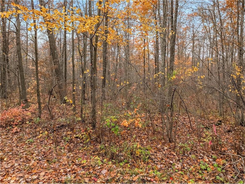 0 Dream Catcher Rd Hayward WI 54843 1596678 image9