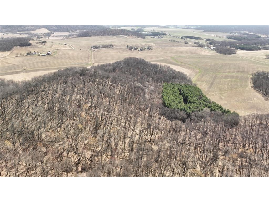 0 Dry Coulee Road, Nelson, WI, 54756 MLS 1572201 Edina Realty