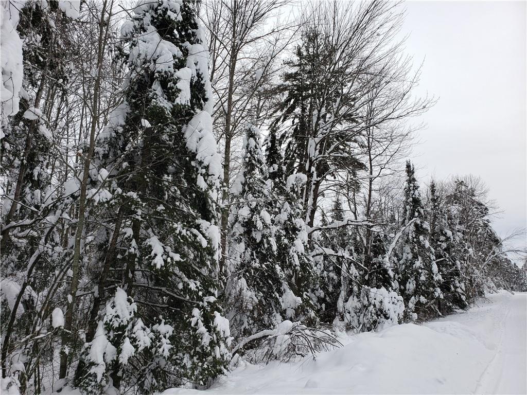 Unit 20 Dun Rovin Road Hayward WI 54843 - Chippewa Flowage 1570392 image1