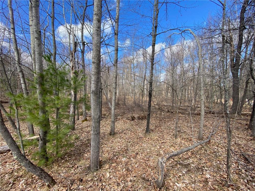 0 E Lakewood Drive Gordon WI 54838 1581035 image1