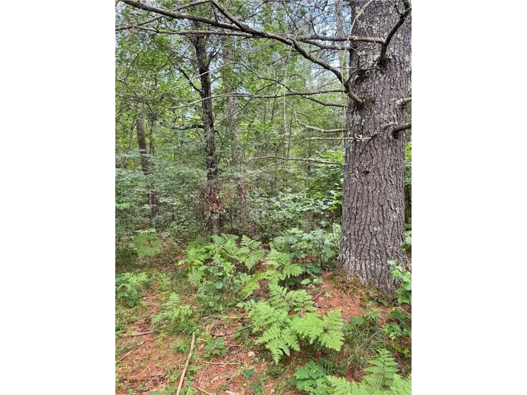 0 E Wilderness Court Barnes WI 54873 1593008 image1