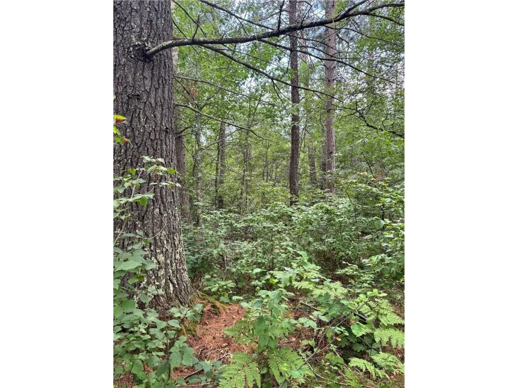 0 E Wilderness Court Barnes WI 54873 1593008 image2