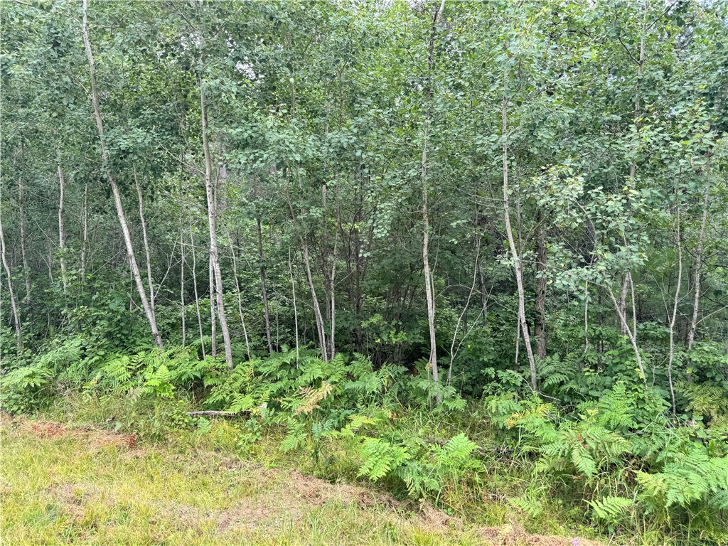 0 E Wilderness Court Barnes WI 54873 1593008 image3