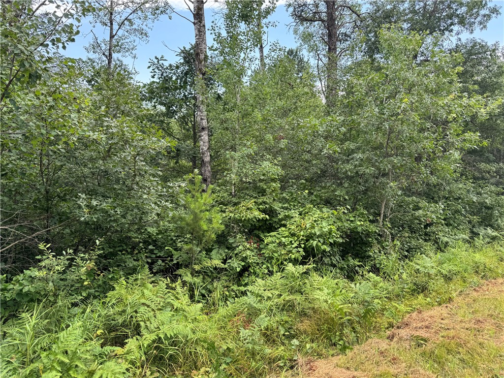 0 E Wilderness Court Barnes WI 54873 1593008 image4