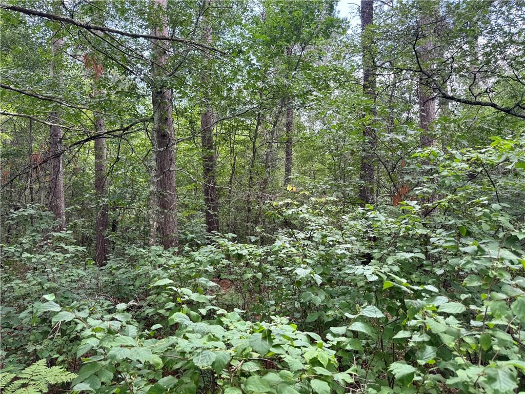 0 E Wilderness Court Barnes WI 54873 1593008 image5