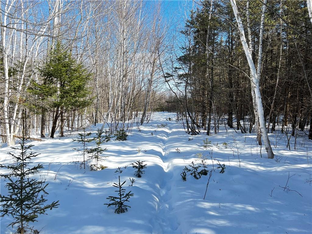 0 Fetke Road, Bruce, WI, 54819 MLS 1561619 Edina Realty