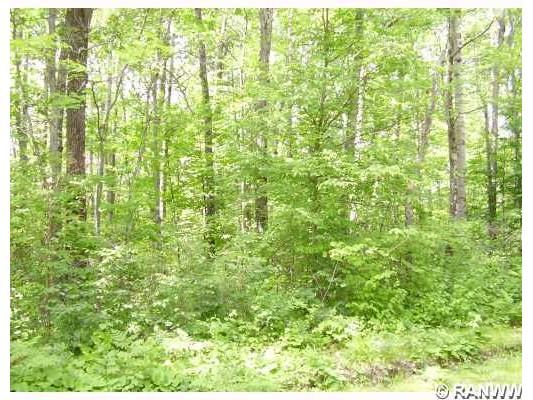 0 Fox Avenue Hayward WI 54843 809229 image1