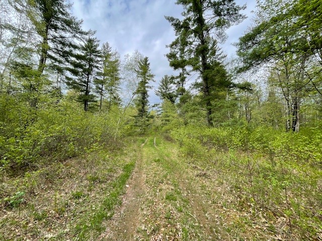 0 Froemel Road Hayward WI 54843 1591906 image7