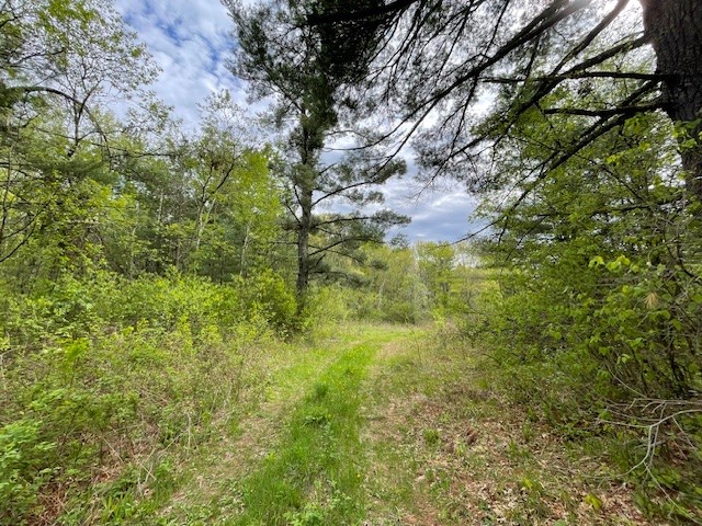 0 Froemel Road Hayward WI 54843 1591906 image8