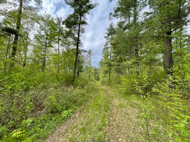 0 Froemel Road Hayward WI 54843 1591906 image9