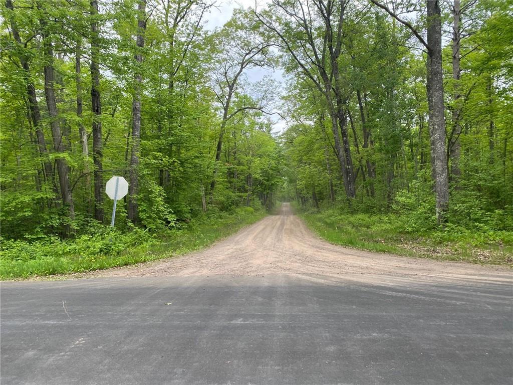 0 Gary Avenue Hayward WI 54843 1570710 image3