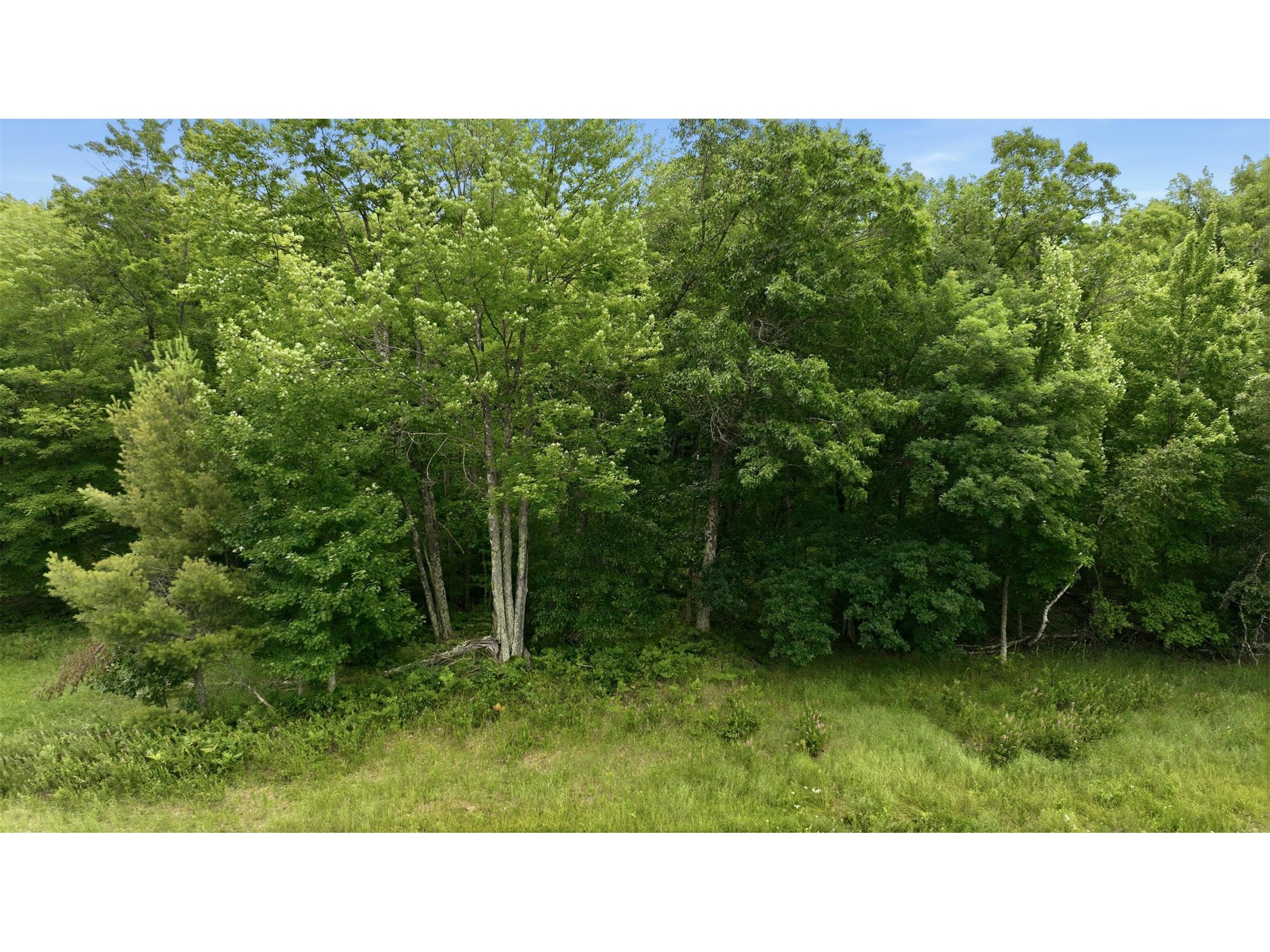 0 Goose Lake Spooner WI 54801 - Goose 1603400 image4