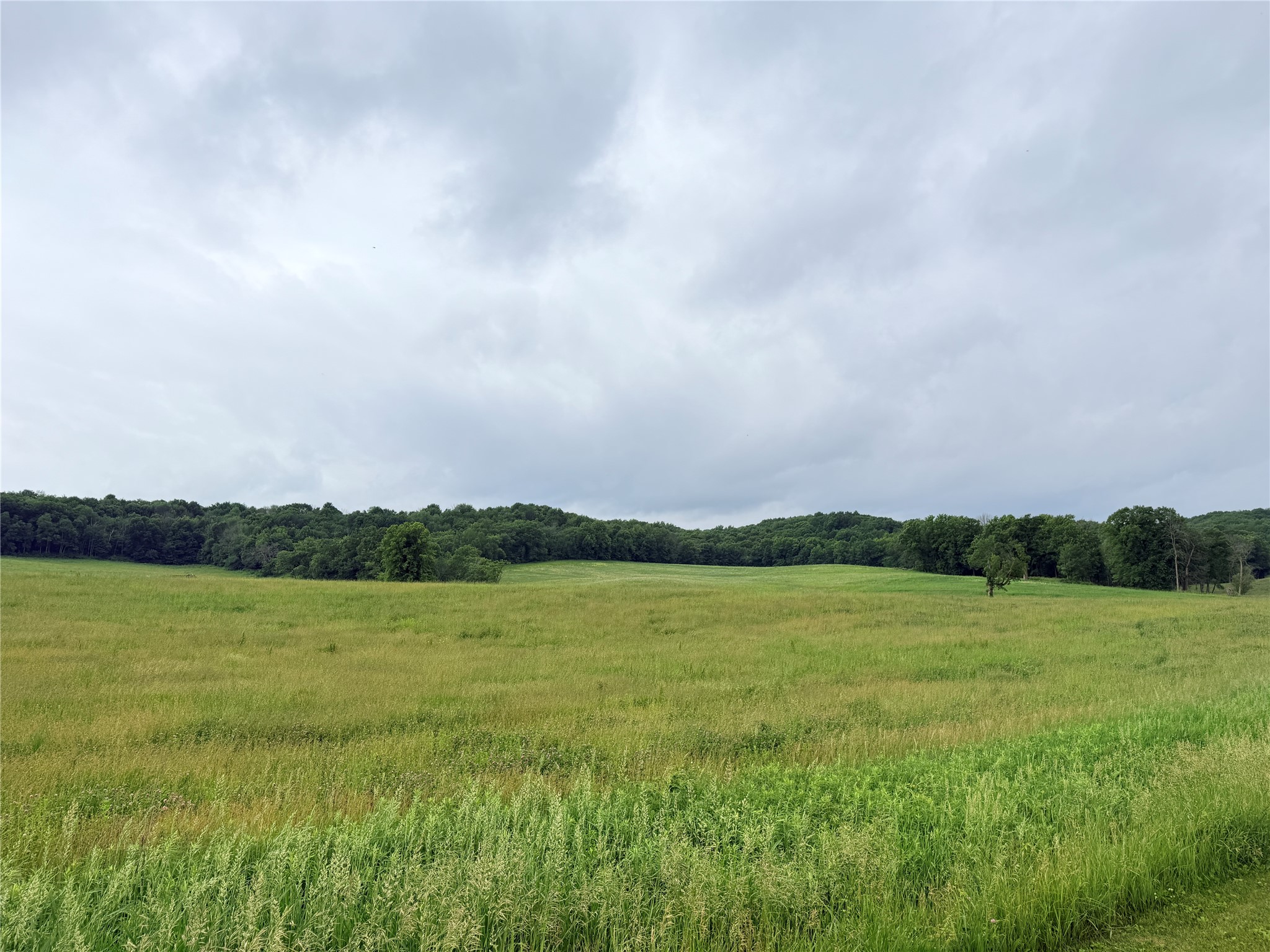 0 Grandview Drive Fall Creek WI 54727 1602301 image1