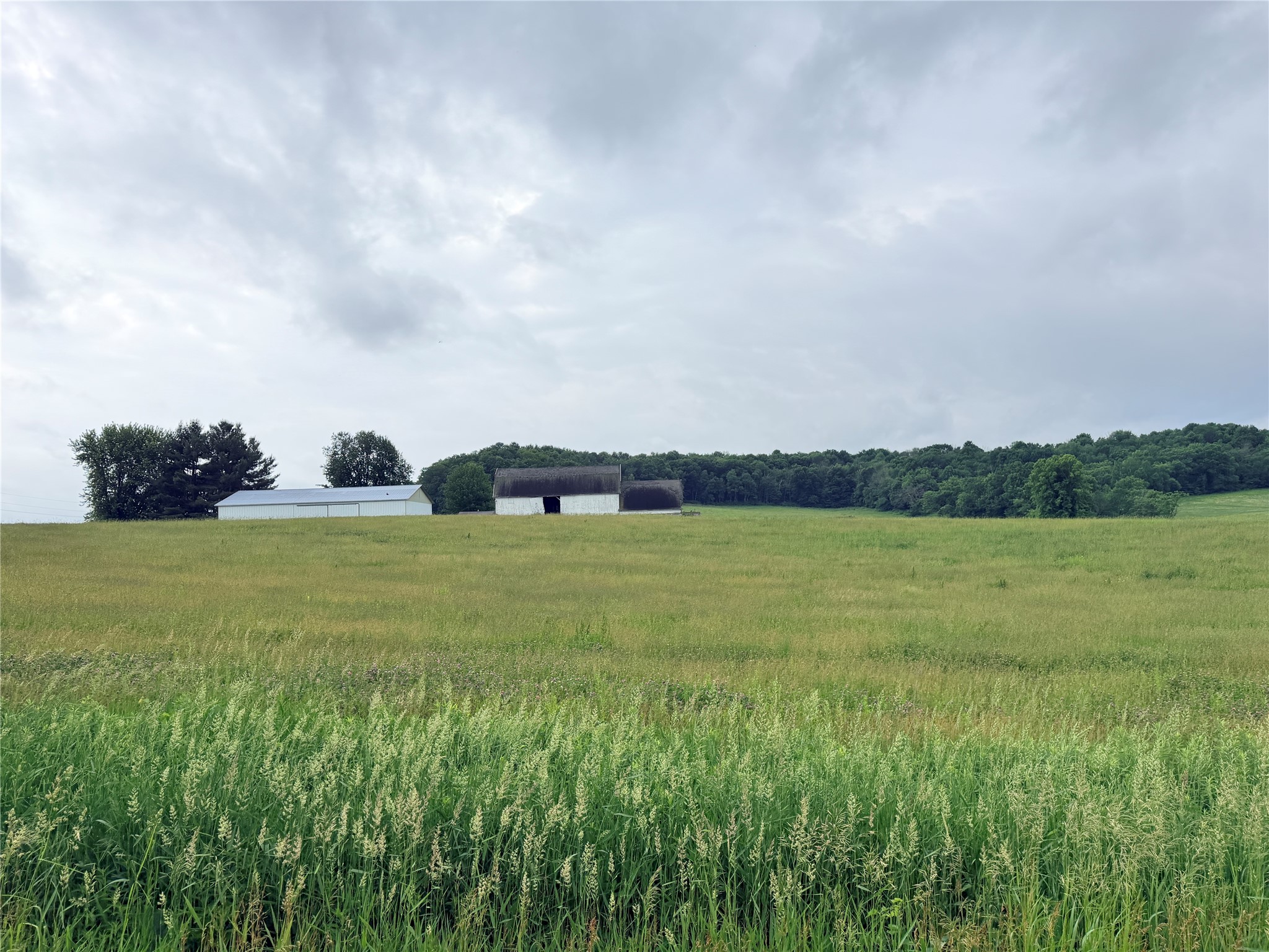 0 Grandview Drive Fall Creek WI 54727 1602301 image4