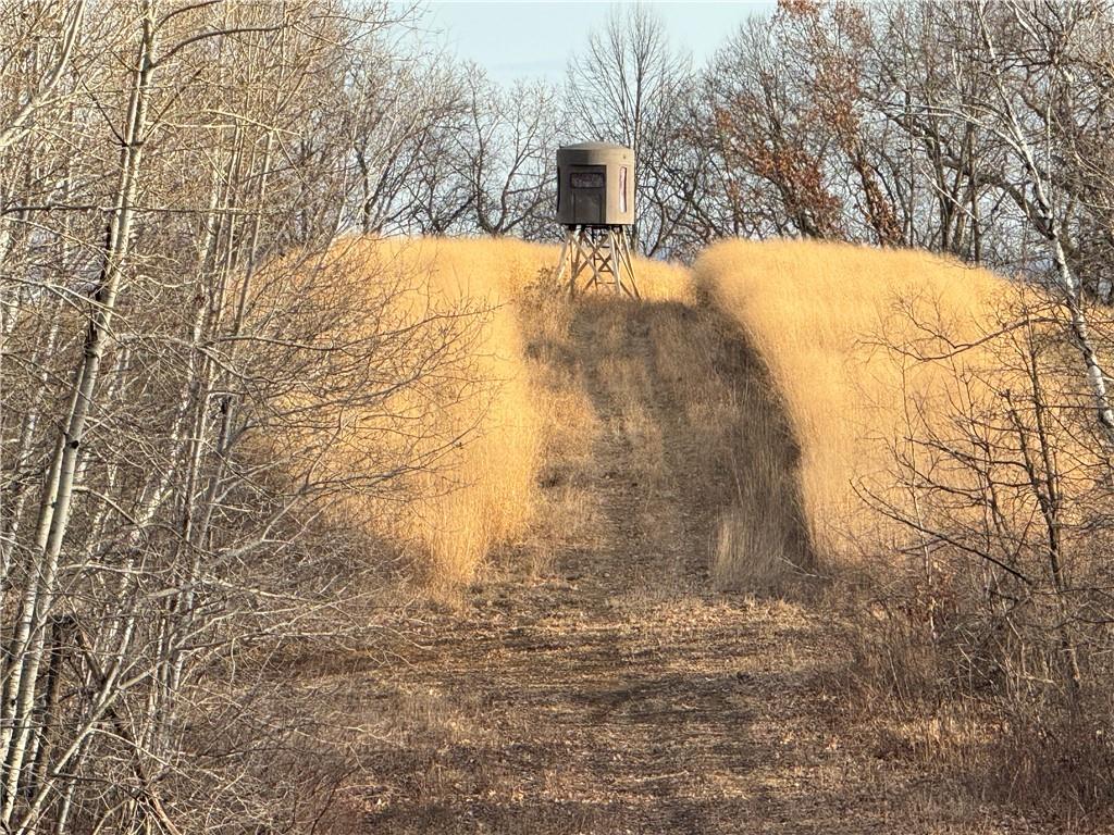 0 Guzan Road Independence WI 54747 1581018 image1