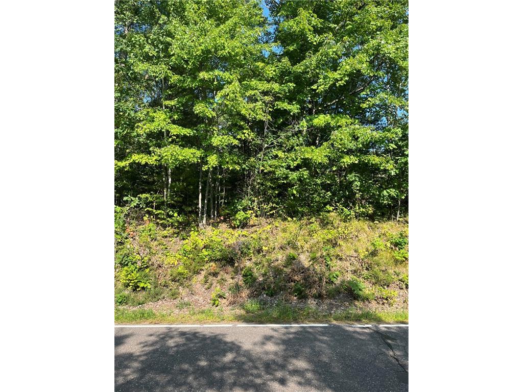 0 HWY E Highway Hayward WI 54843 1576624 image1