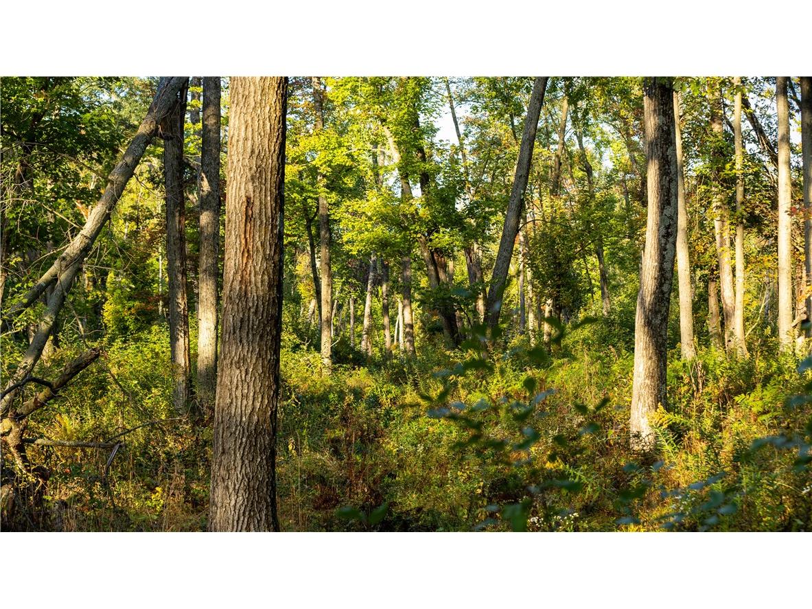 0 Hannon Road Black River Falls WI 54615 - Snow Creek 1596430 image1