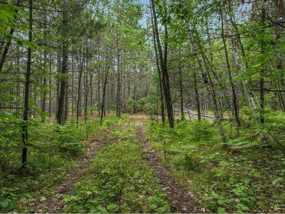 0 Hatchery Road Hayward WI 54843 1575961 image1