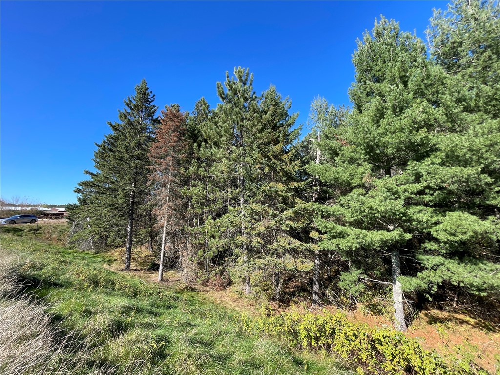 0 Heinz Road Hayward WI 54843 1596413 image10