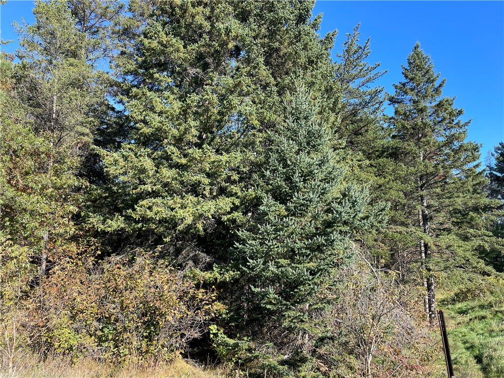 0 Heinz Road Hayward WI 54843 1596413 image11