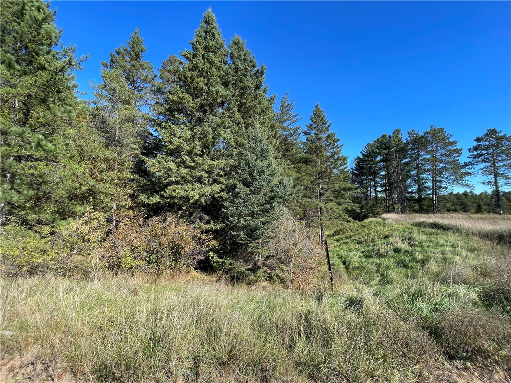 0 Heinz Road Hayward WI 54843 1596413 image12