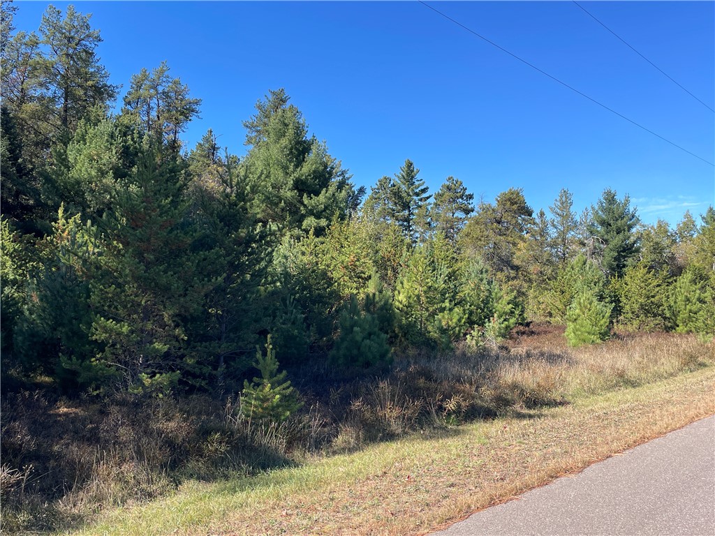 0 Heinz Road Hayward WI 54843 1596413 image2