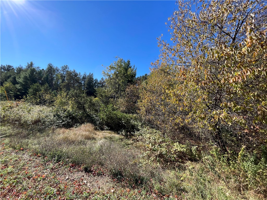 0 Heinz Road Hayward WI 54843 1596413 image6